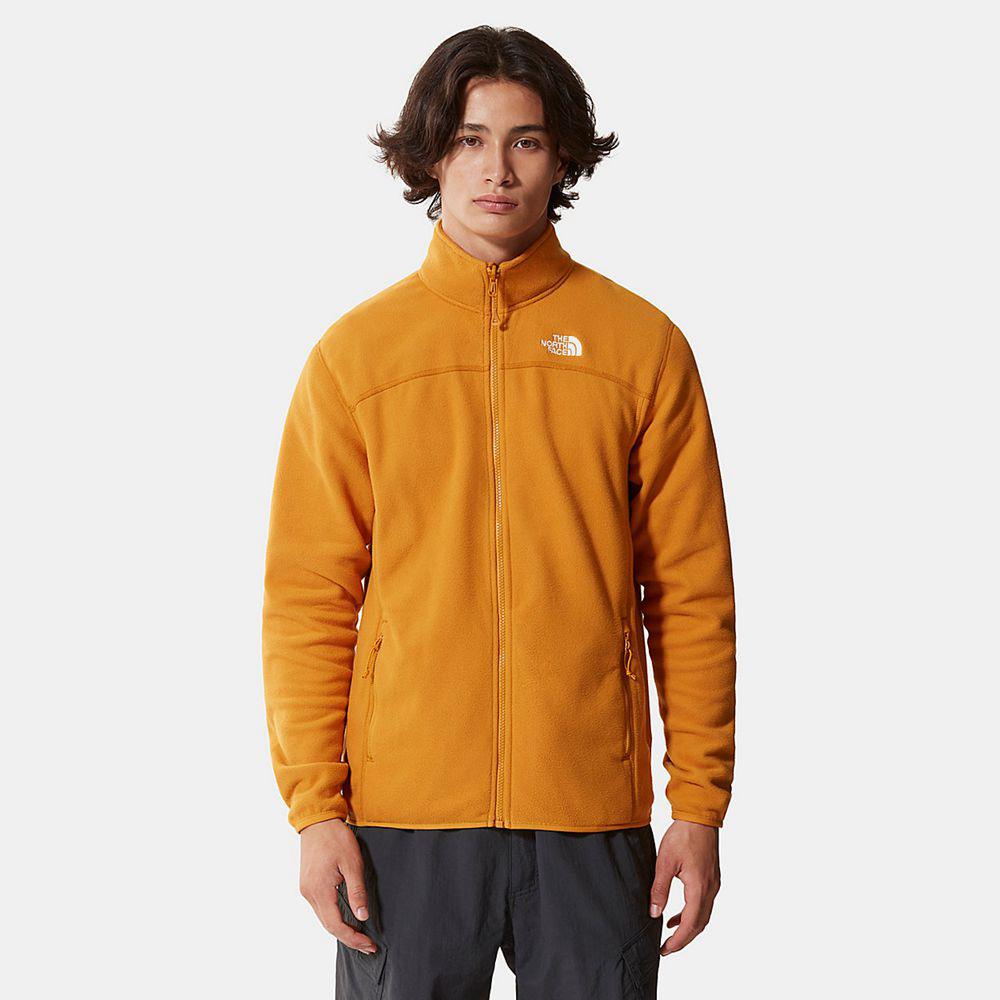 The North Face 100 Glacier Full-Zip Ανδρικα Fleece - Κίτρινα (KRJU07823)